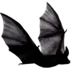 🖤