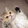 🙂