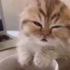 🥱