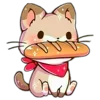 🐱
