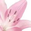 ⭐