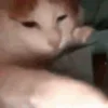 🚬