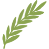 🌿