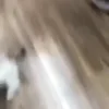 😆