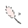🪶