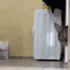 😑
