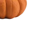 🍂