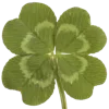 🍀