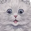 😸