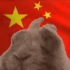 🇨🇳