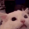 😡
