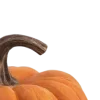 🍂