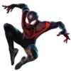🕸