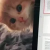 👀
