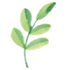 🌿
