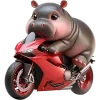 🏍