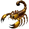 🦂