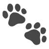 🐾
