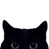 🐈‍⬛