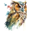 🦉
