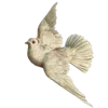 🦢
