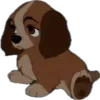 🐶