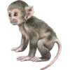 🐒