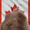 🇨🇦
