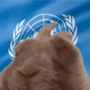 🇺🇳