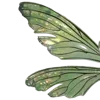 🦋