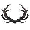 🦌