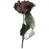 🥀