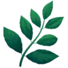🌿