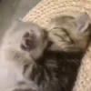 👩‍❤️‍👨