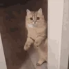 😑