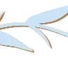 🤩