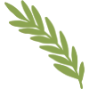 🌿