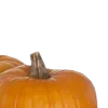 🍂