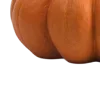 🍂