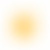 💛