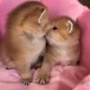 👩‍❤️‍👨