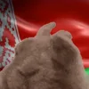 🇧🇾