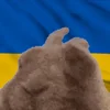 🇺🇦