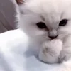 🙂