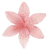 🌺