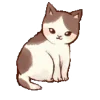 🐱