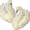 🦢