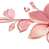 🌸