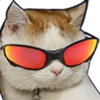 😎