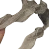 🫲